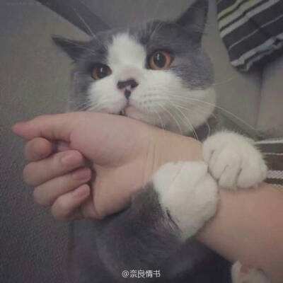 天天狙击bt版游戏下载